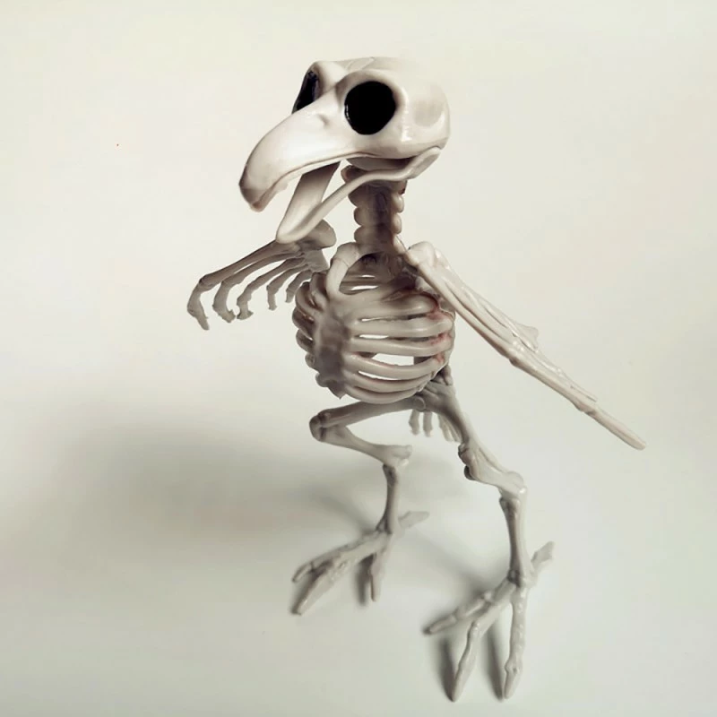 Etaya Halloween Layout Props Skeleton Horror Animal Skeleton - Image 4